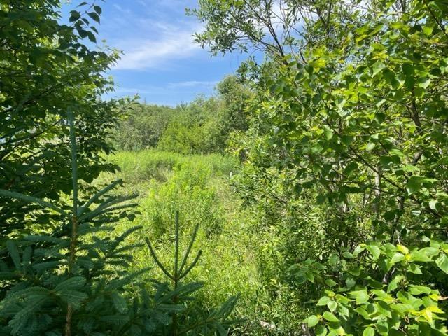 $34,900.00: Lot 17 Hilltop Crescent, Baddeck