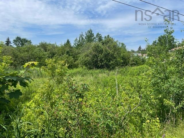 $34,900.00: Lot 18 Hilltop Crescent, Baddeck