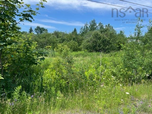 $34,900.00: Lot 18 Hilltop Crescent, Baddeck