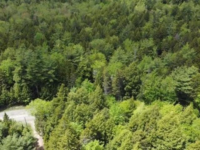 $18,900.00: Lot 7 Baker Point Road, Molega