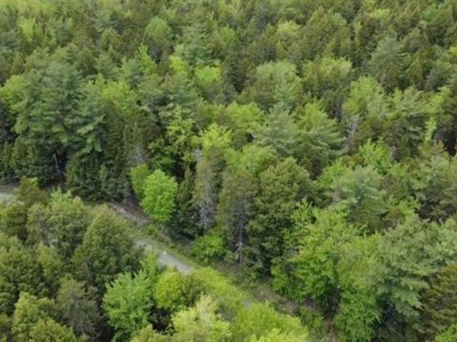 $18,900.00: Lot 7 Baker Point Road, Molega