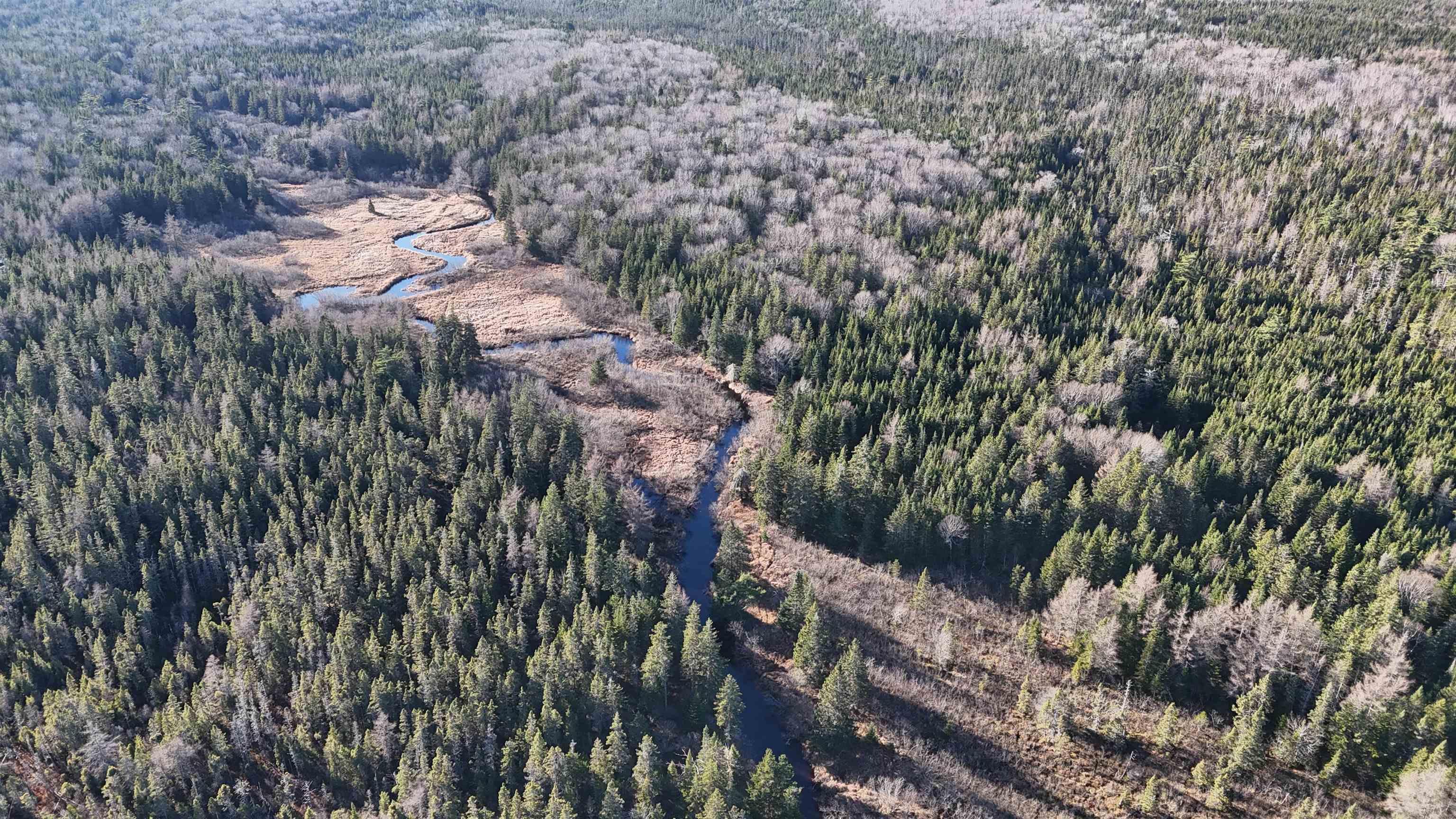 $99,000.00: Salmon River Road, Enon