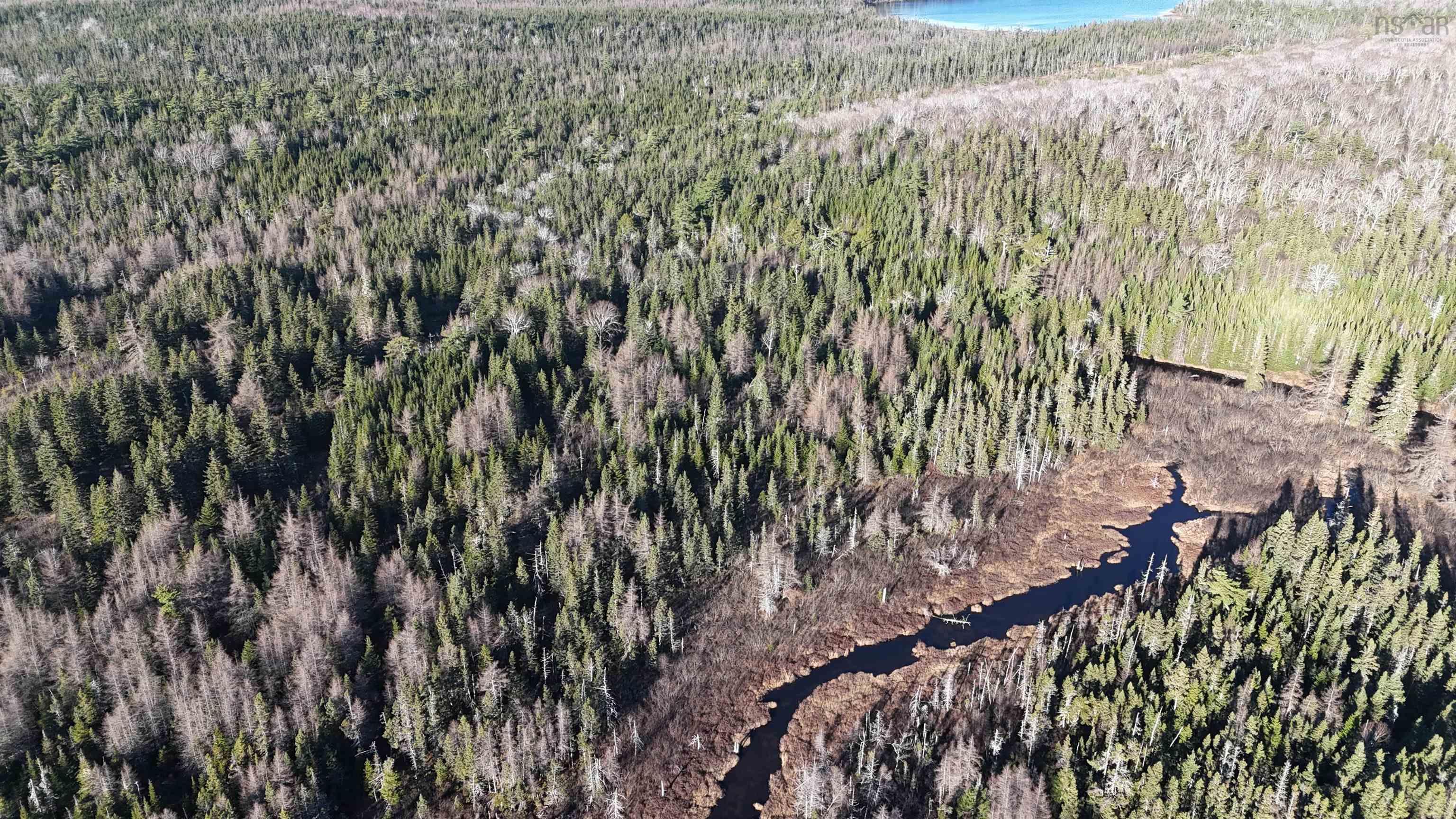 $99,000.00: Salmon River Road, Enon