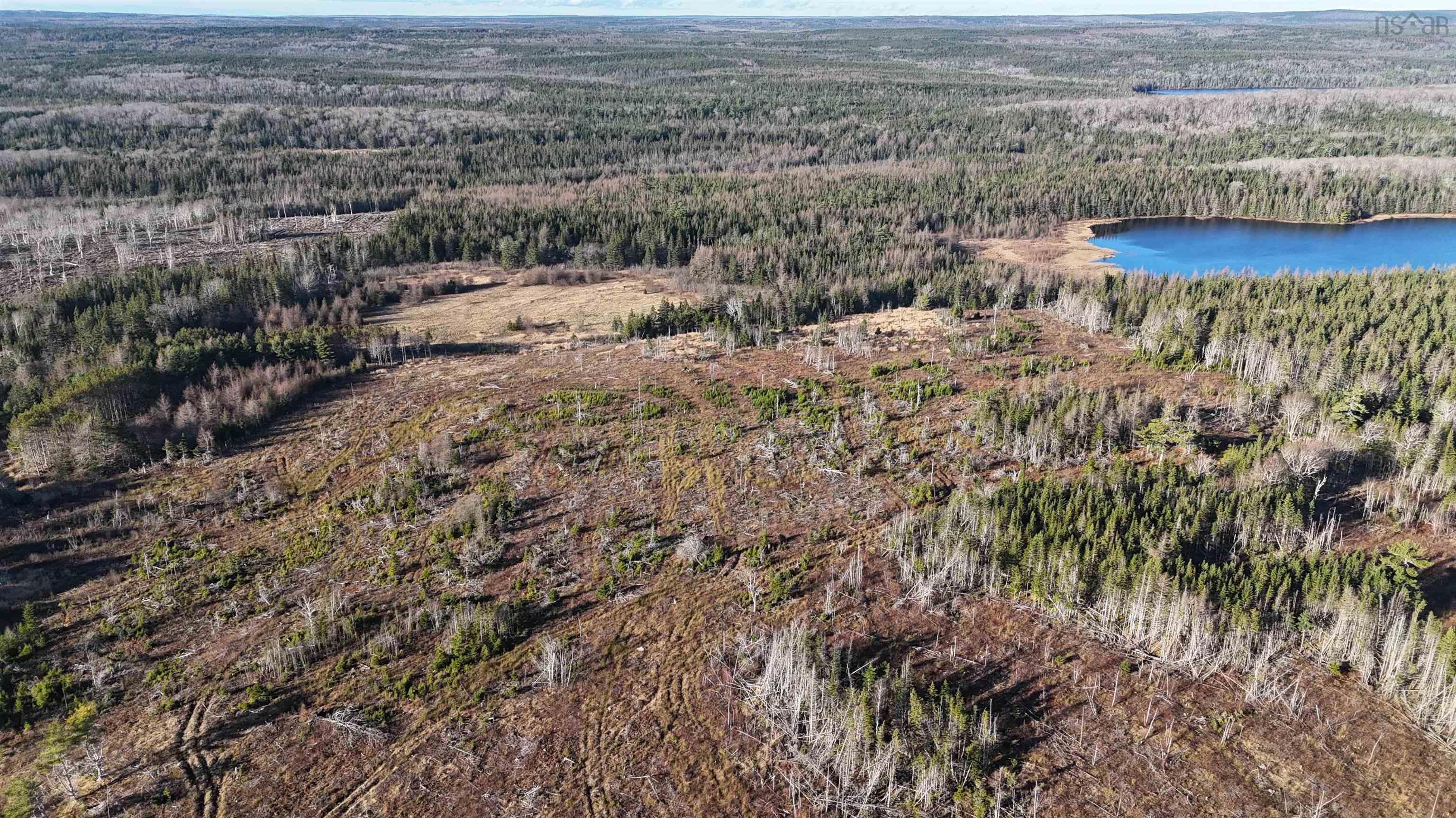 $99,000.00: Salmon River Road, Enon