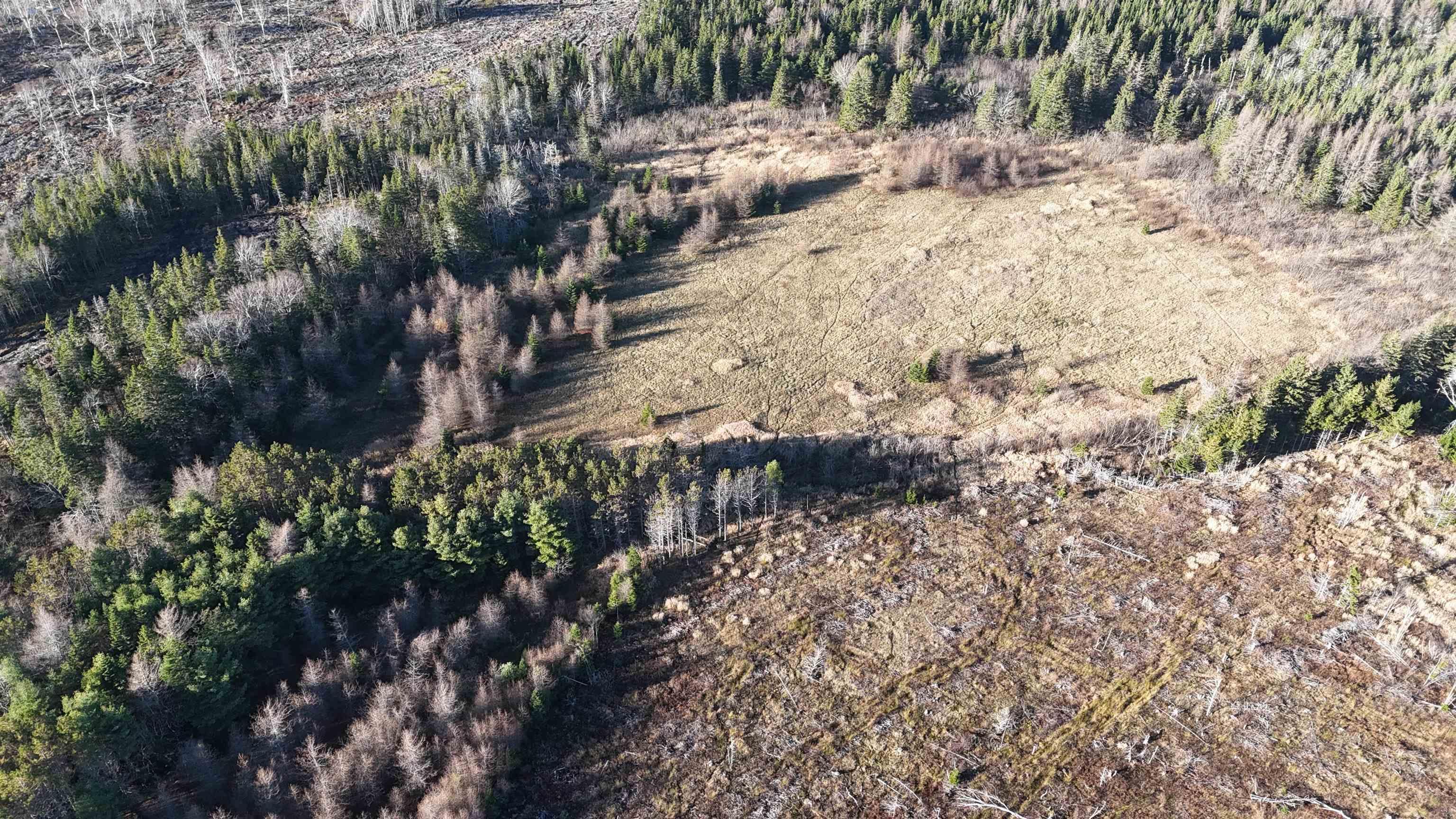 $99,000.00: Salmon River Road, Enon
