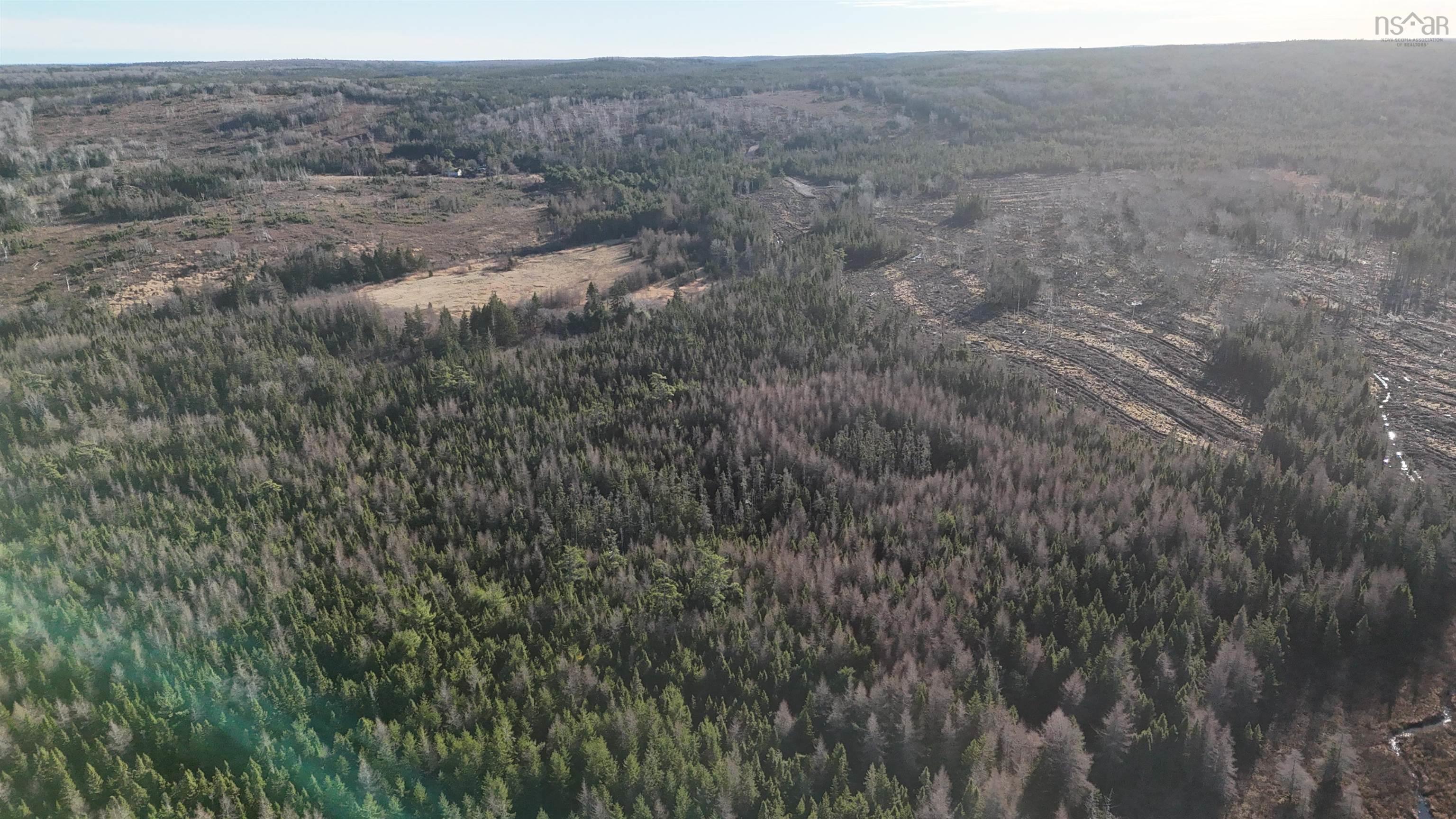$99,000.00: Salmon River Road, Enon