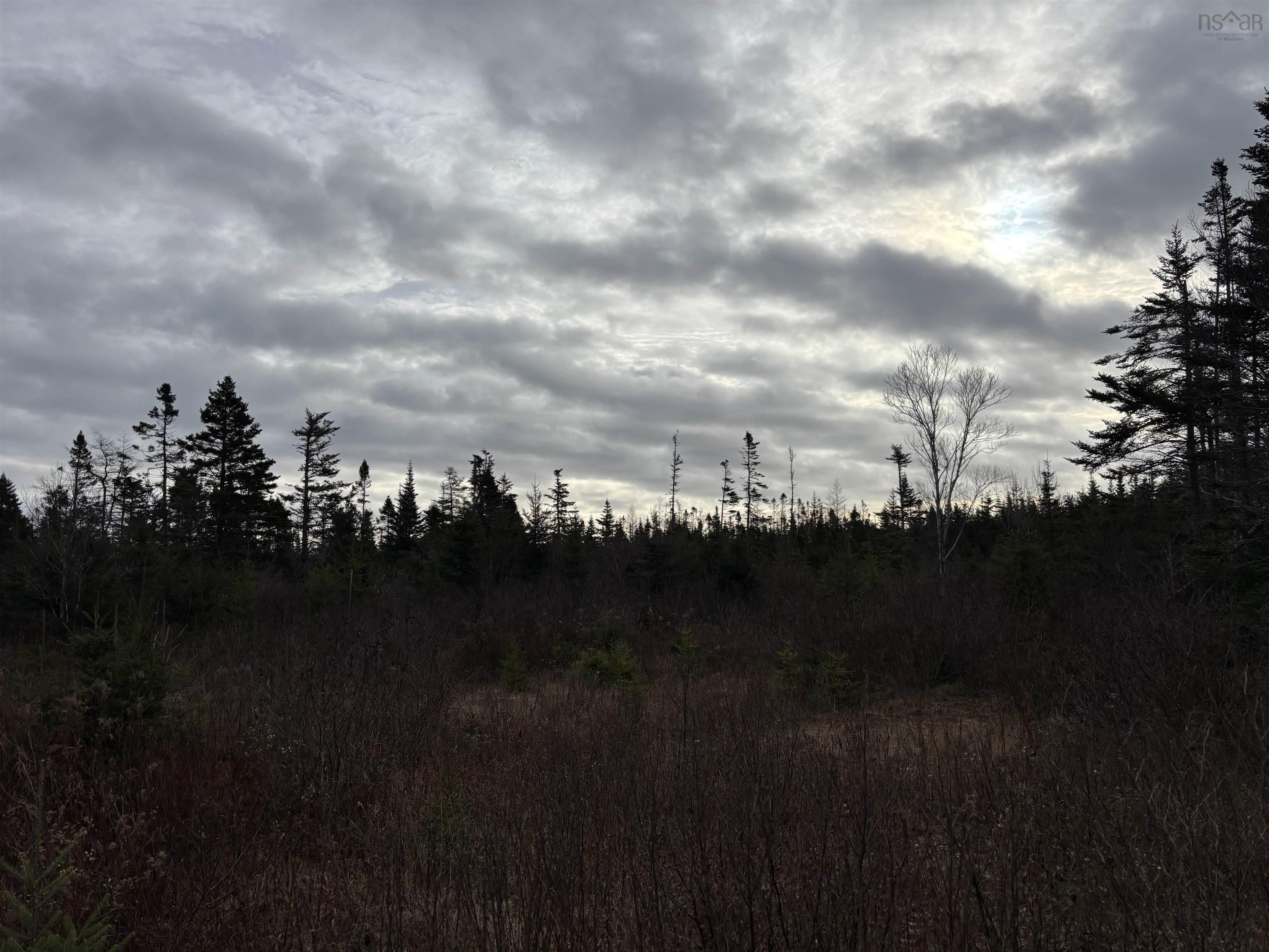 $29,900.00: Lot D2 Highway 7, Watt Section