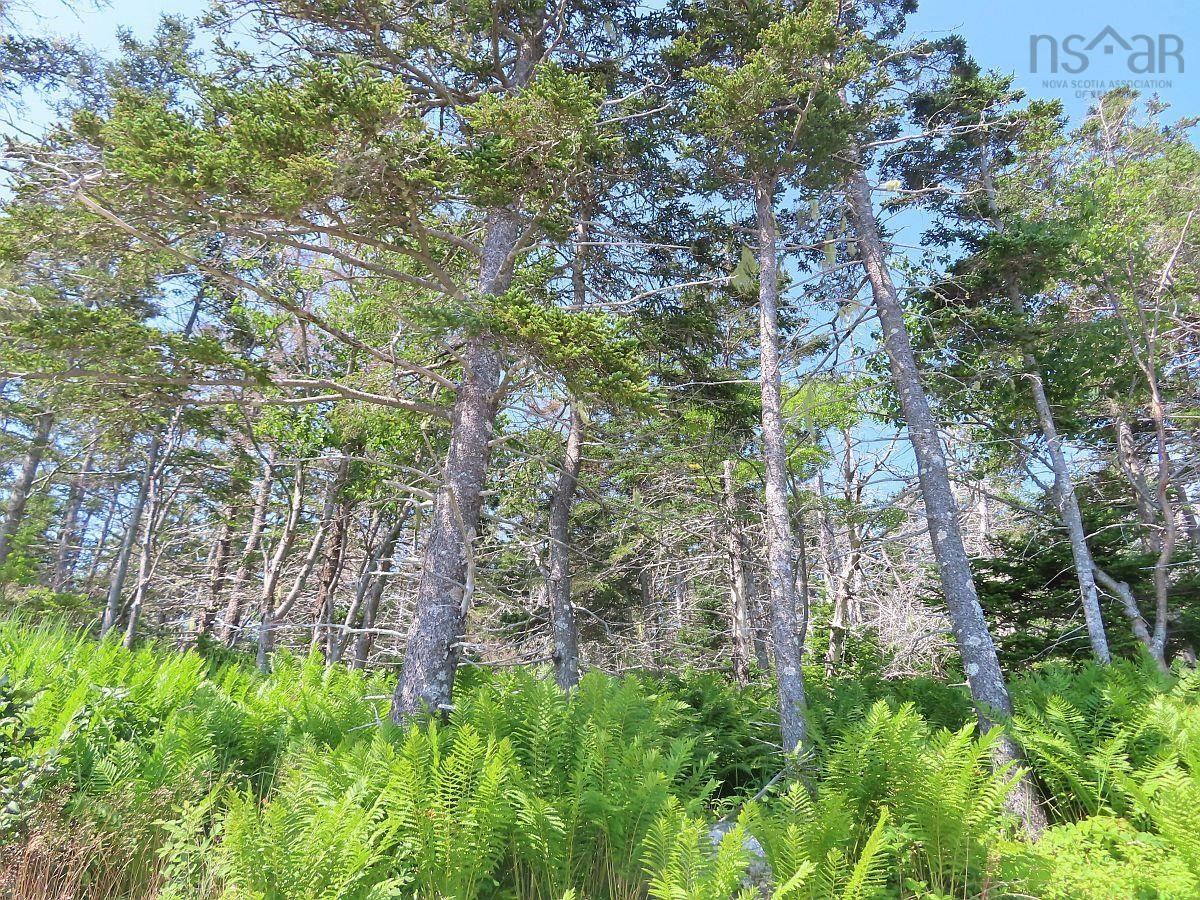 $125,400.00: Lot 10 Hwy 316 (Grovers Point), Cole Harbour