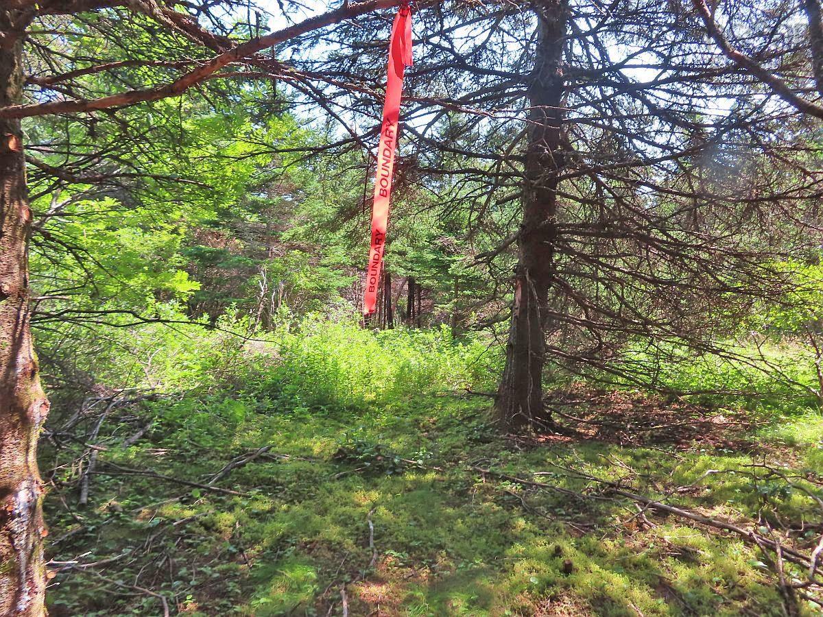 $125,400.00: Lot 10 Hwy 316 (Grovers Point), Cole Harbour