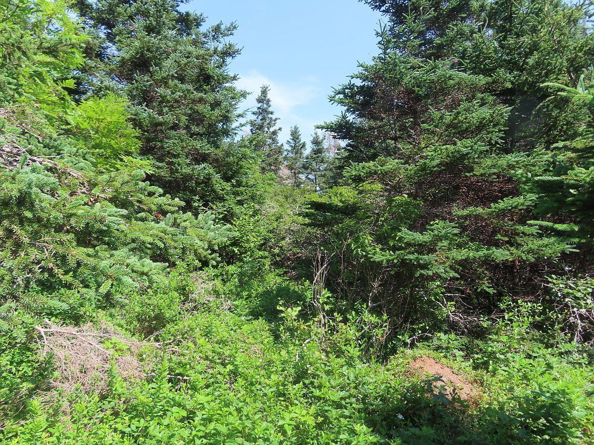 $125,400.00: Lot 10 Hwy 316 (Grovers Point), Cole Harbour