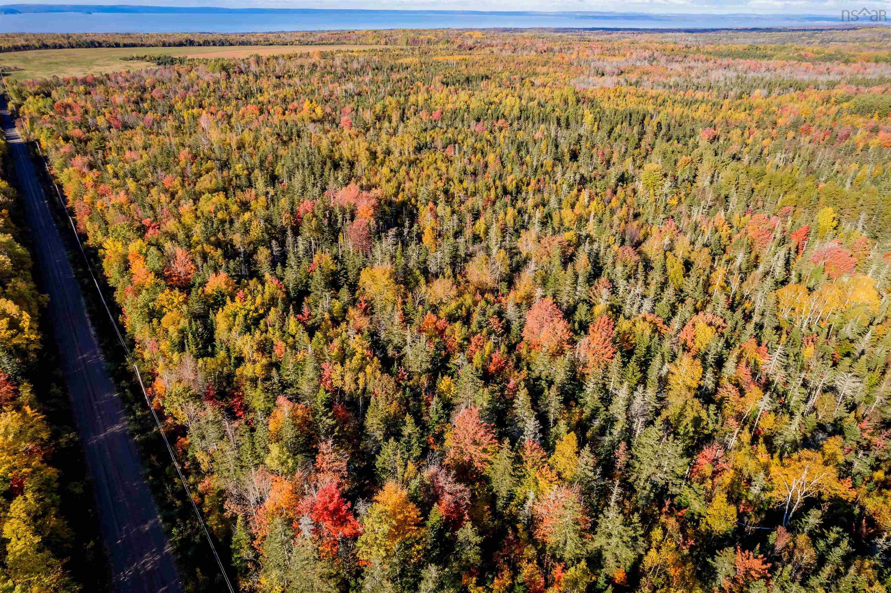 $49,000.00: Lot 11 Huntington Point Road, Mountain Front