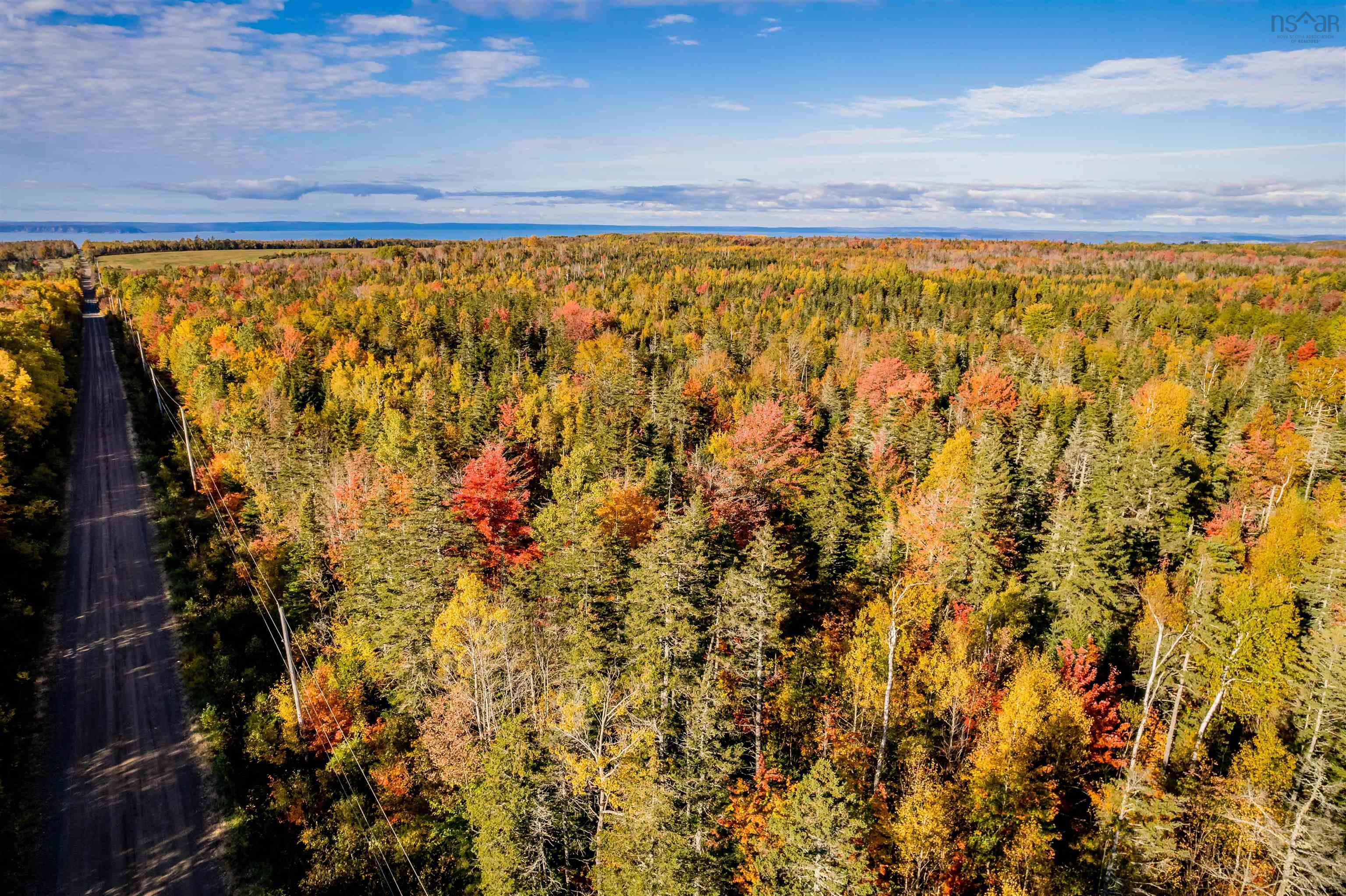 $49,000.00: Lot 11 Huntington Point Road, Mountain Front