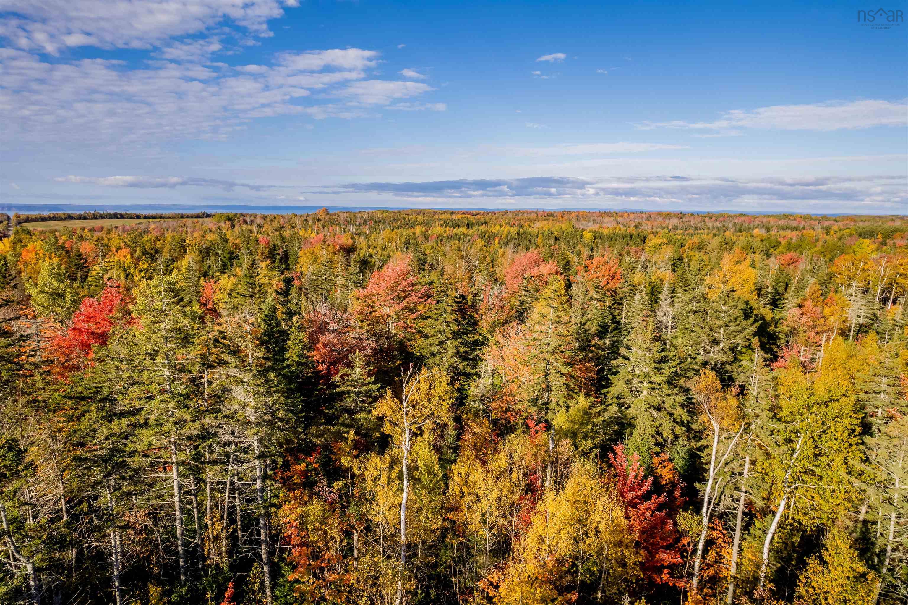 $49,000.00: Lot 11 Huntington Point Road, Mountain Front