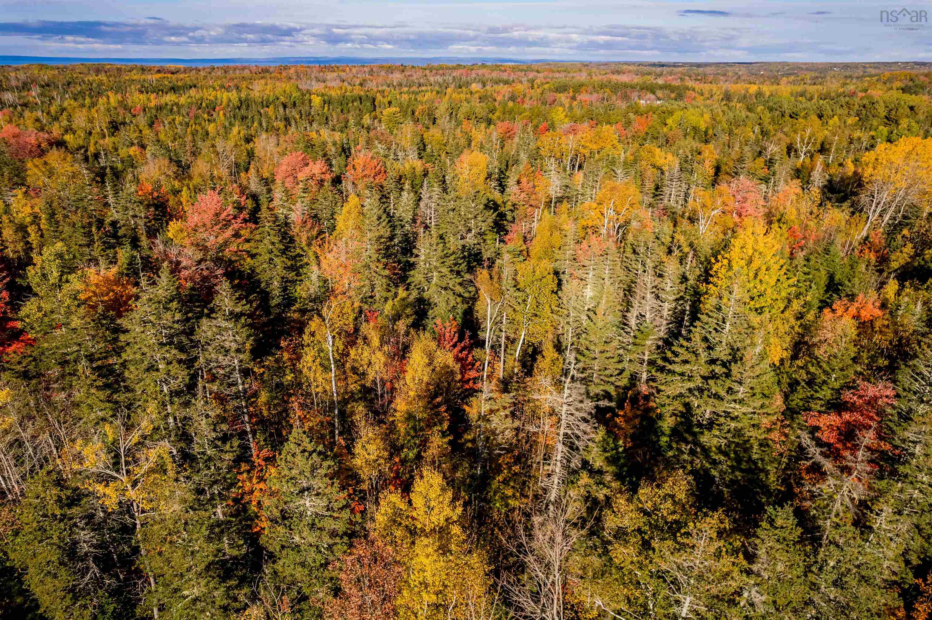 $49,000.00: Lot 11 Huntington Point Road, Mountain Front