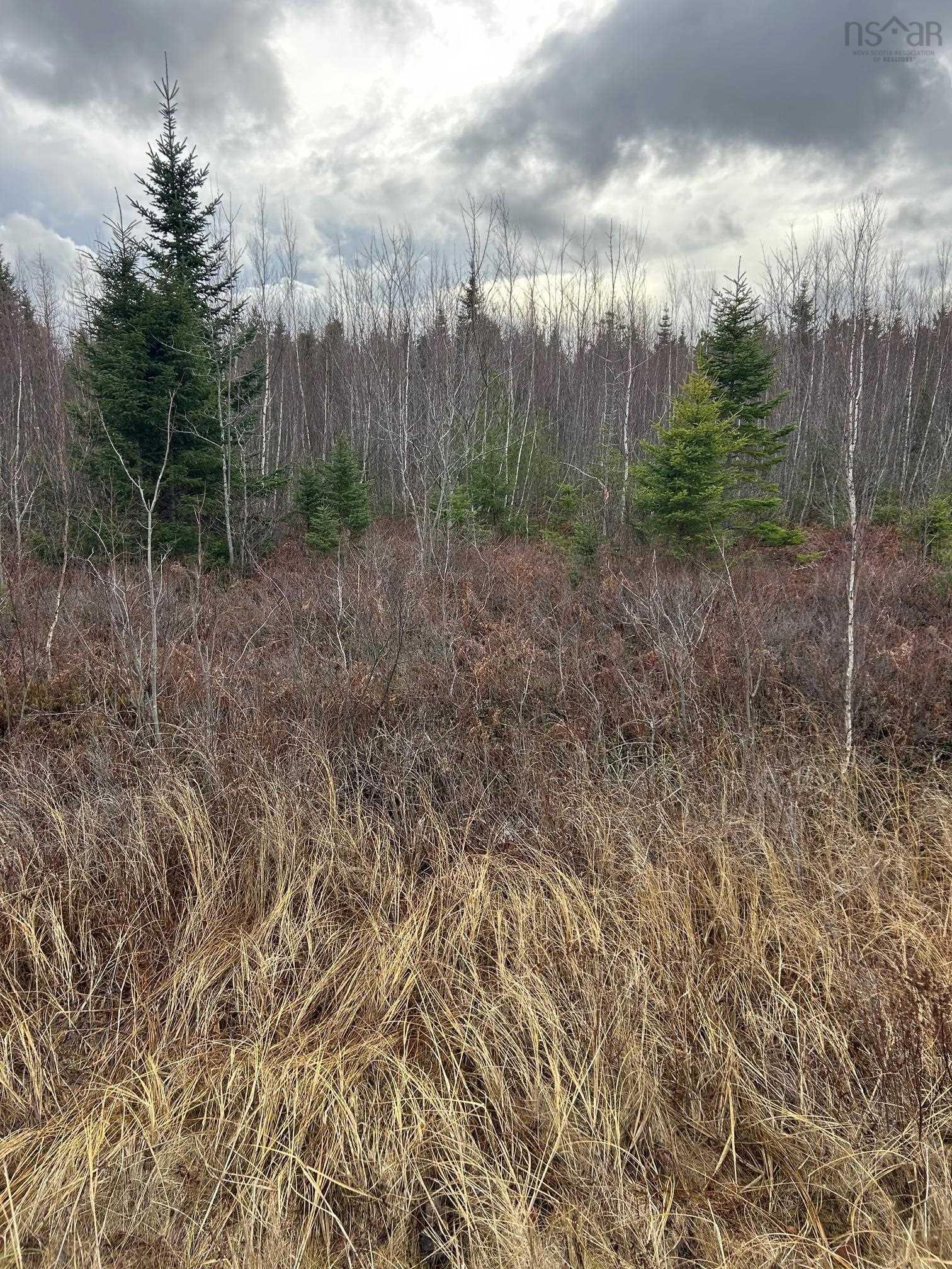 $99,000.00: A Highway 4 Highway, Wentworth
