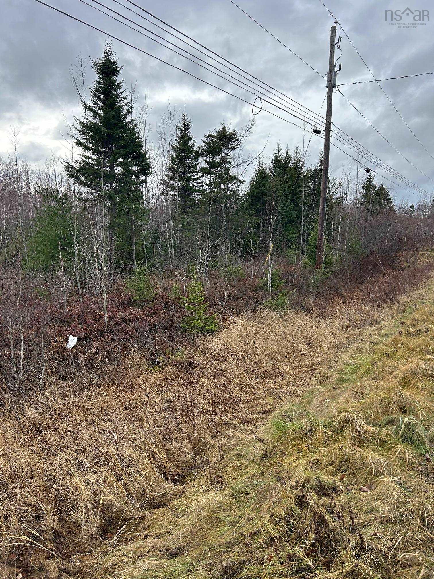 $99,000.00: A Highway 4 Highway, Wentworth