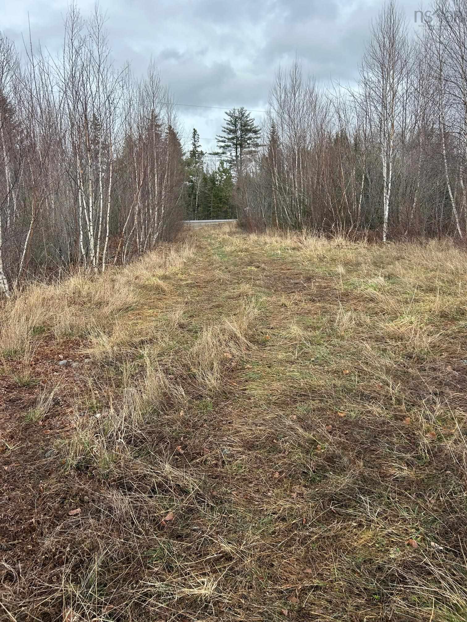 $99,000.00: A Highway 4 Highway, Wentworth