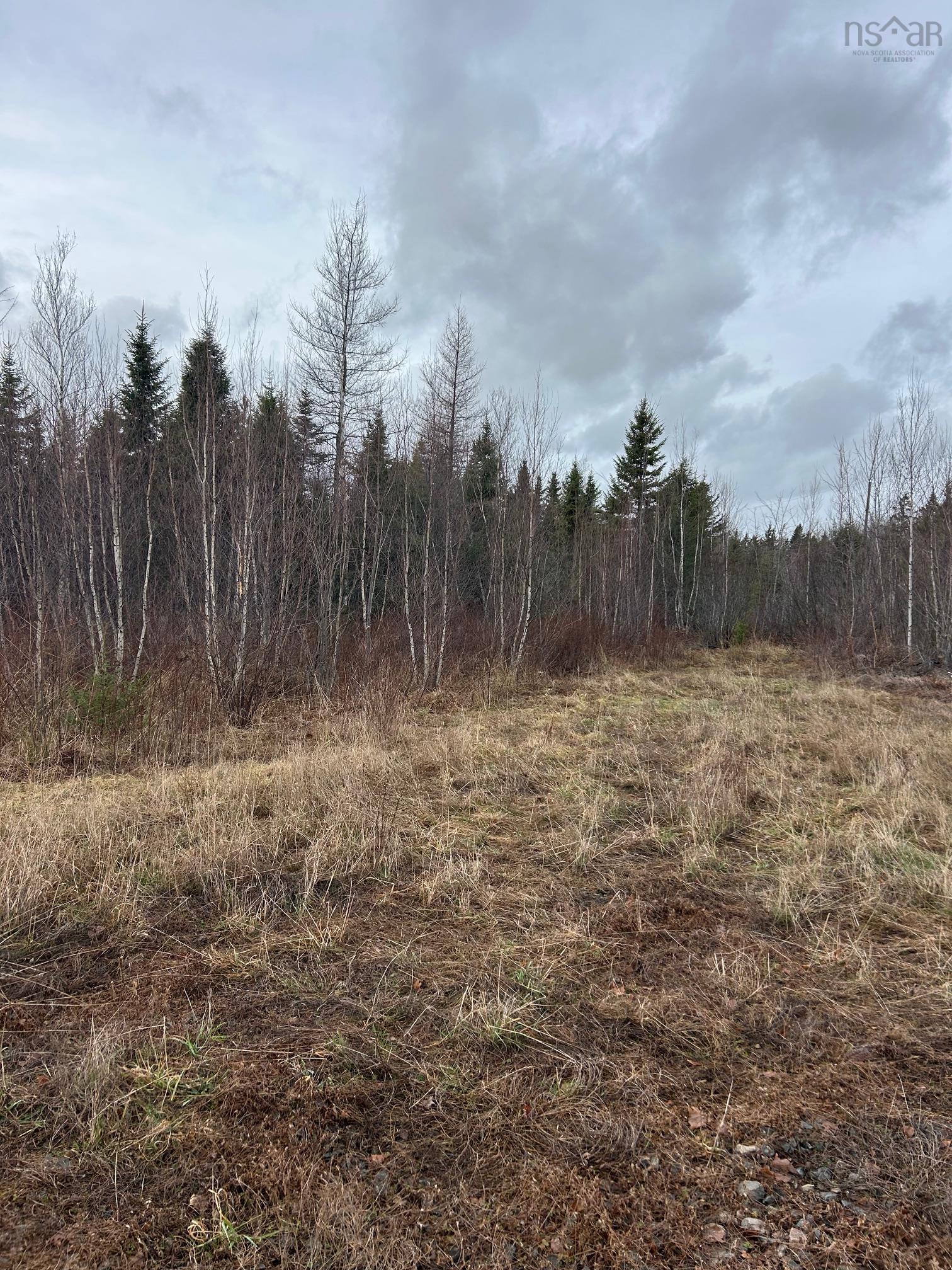 $99,000.00: A Highway 4 Highway, Wentworth