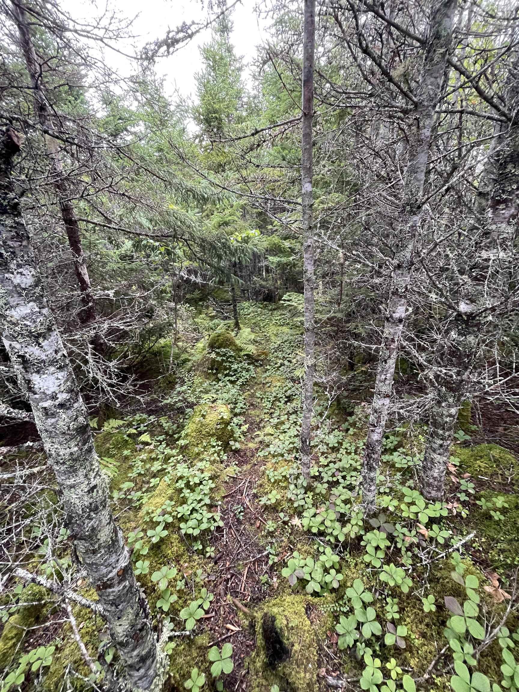 $249,900.00: 82 10 Wiskubok Crescent, Clam Bay