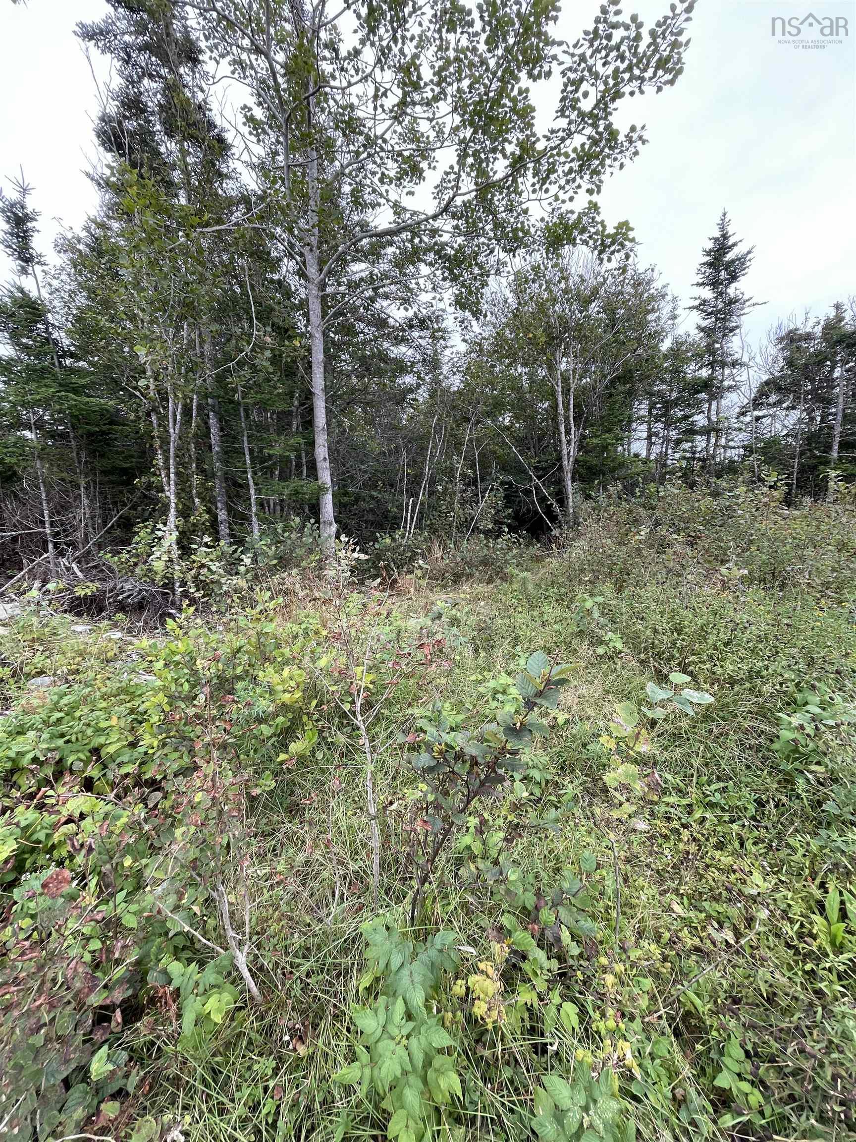 $249,900.00: 82 10 Wiskubok Crescent, Clam Bay