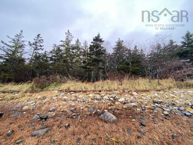 $99,500.00: Lot N-1 Port LaTour Road, Reynoldscroft