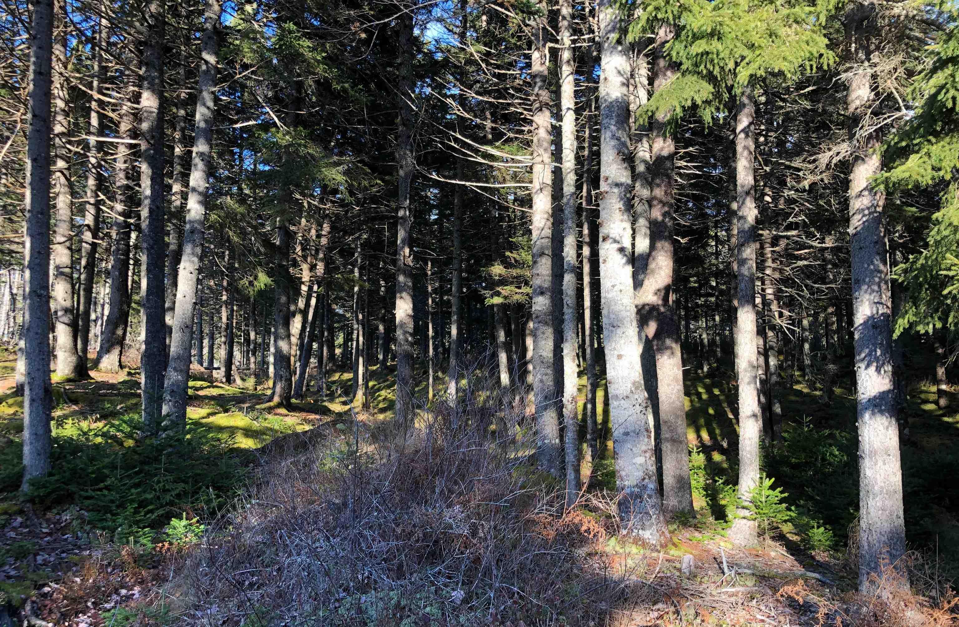 $79,000.00: Lot 1&2 Indian Path Road, East Lahave