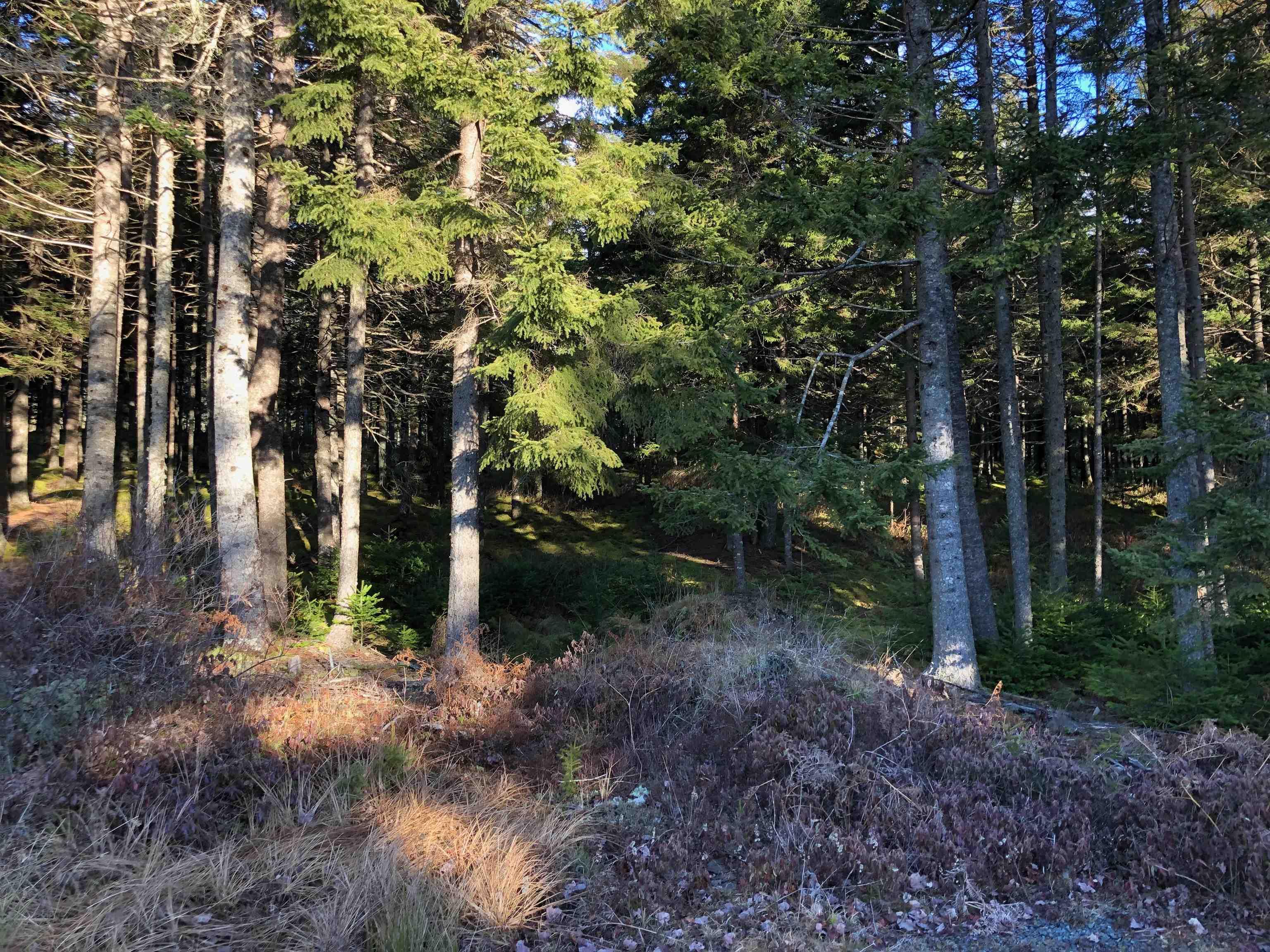 $79,000.00: Lot 1&2 Indian Path Road, East Lahave