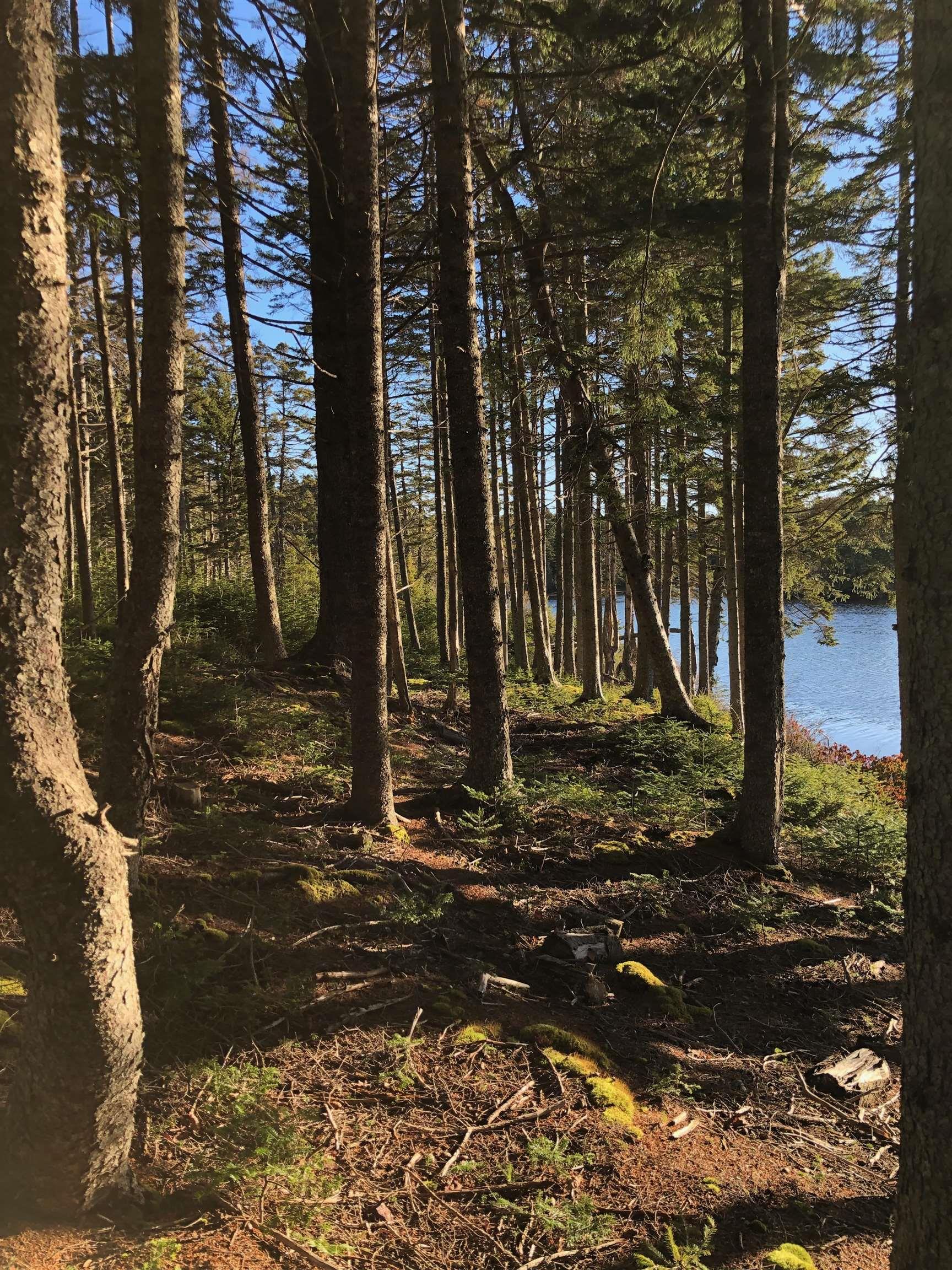 $79,000.00: Lot 1&2 Indian Path Road, East Lahave