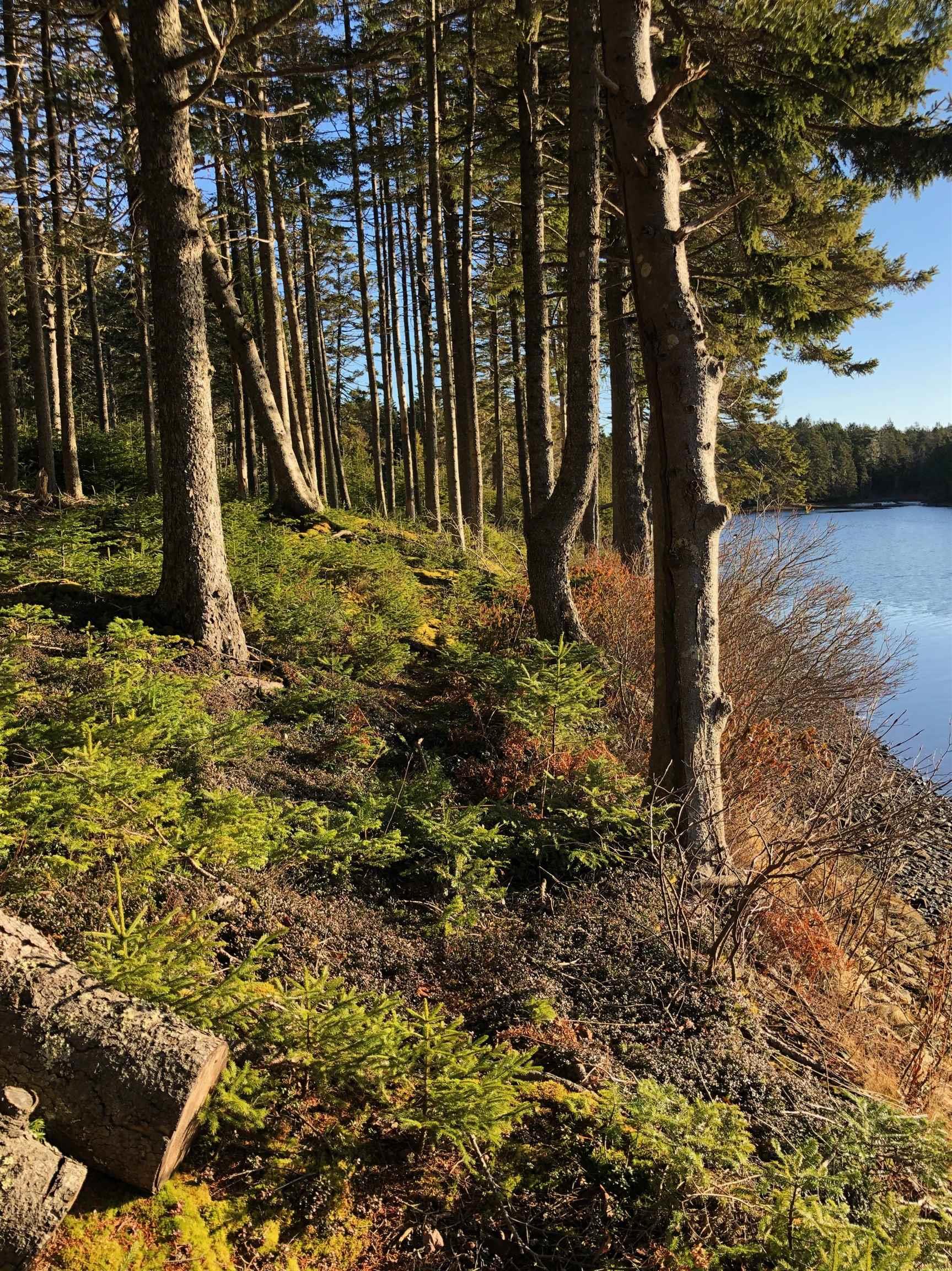 $79,000.00: Lot 1&2 Indian Path Road, East Lahave