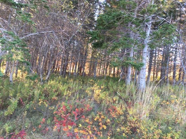 $199,900.00: Lot 0 & 3 Kempt Head Road, Southside Boularderie