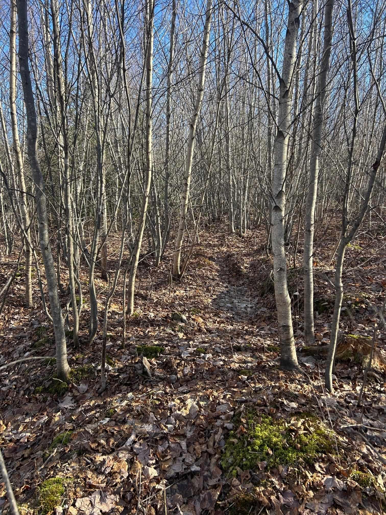 $49,000.00: A Mackay Road, Welsford