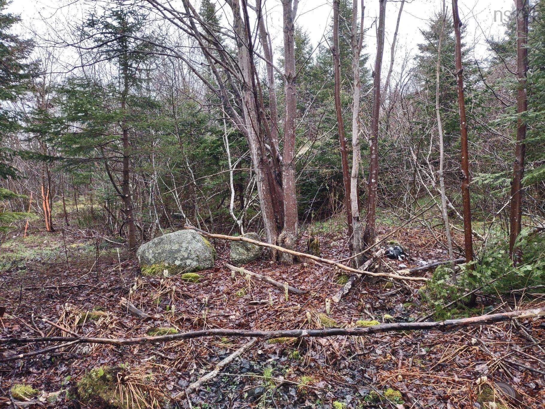 $78,888.00: 1218 St Margarets Bay Road, Beechville