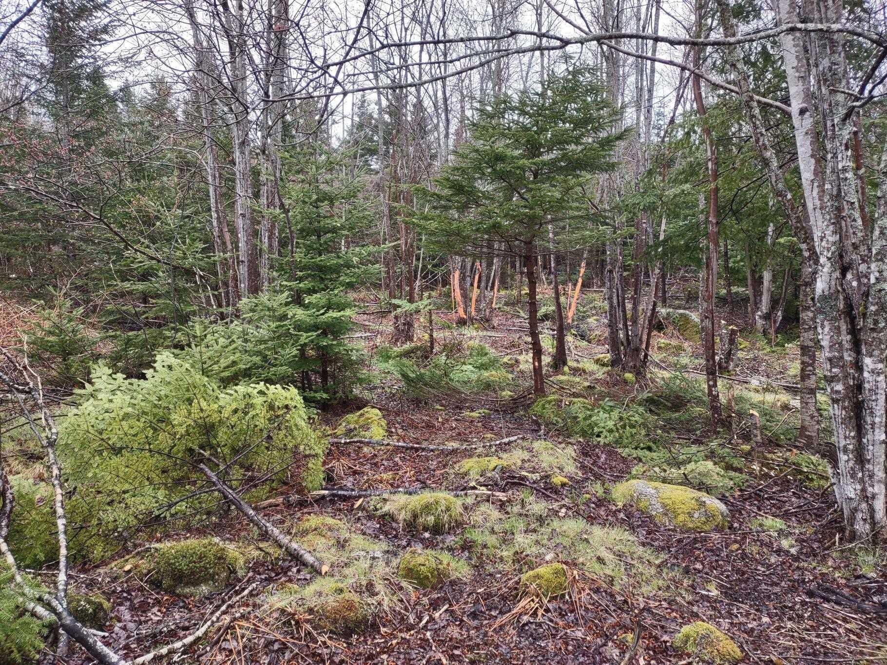 $78,888.00: 1218 St Margarets Bay Road, Beechville