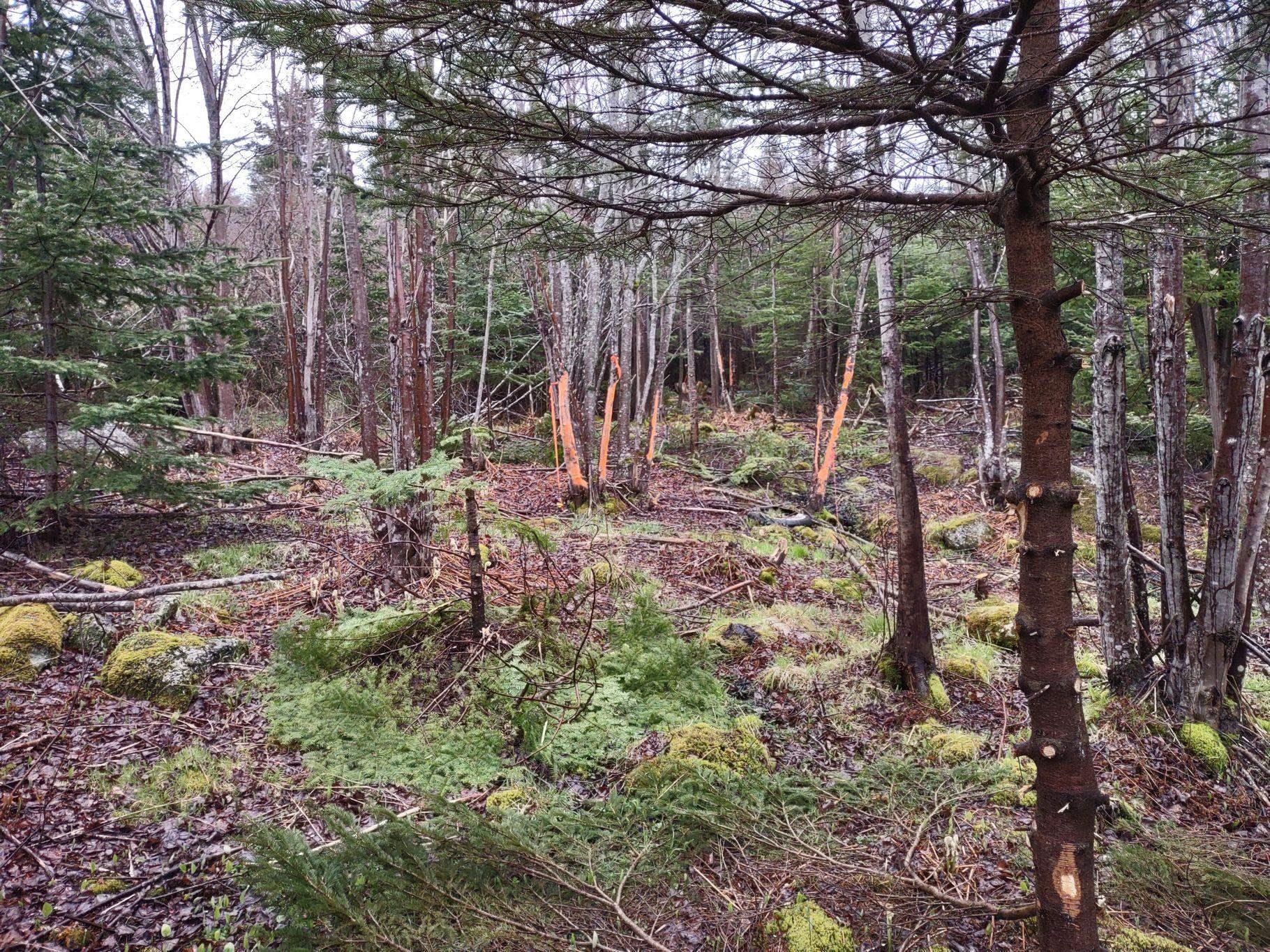 $78,888.00: 1218 St Margarets Bay Road, Beechville