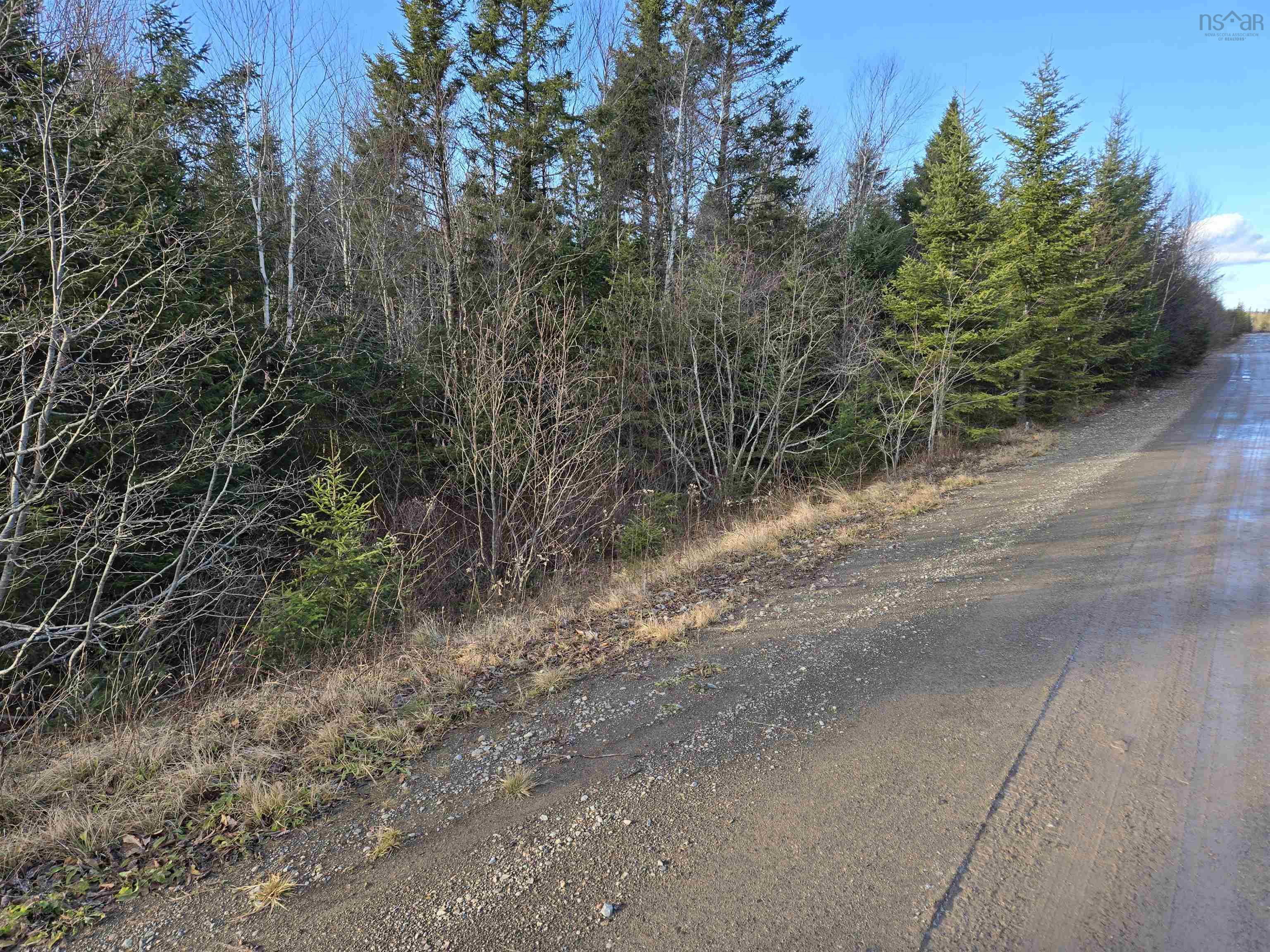 $62,500.00: Lot PEMBROKE Road, Riversdale