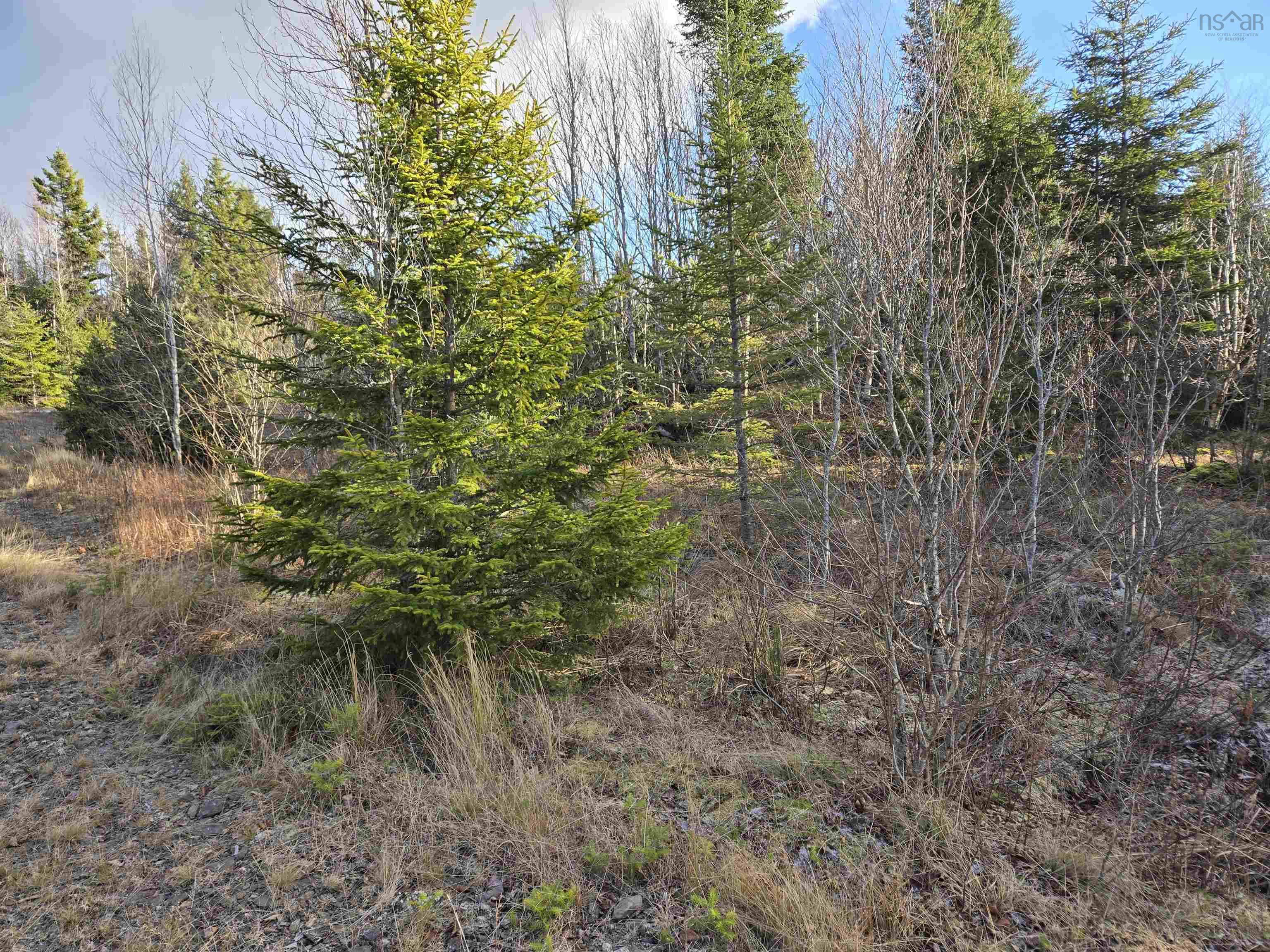 $62,500.00: Lot PEMBROKE Road, Riversdale