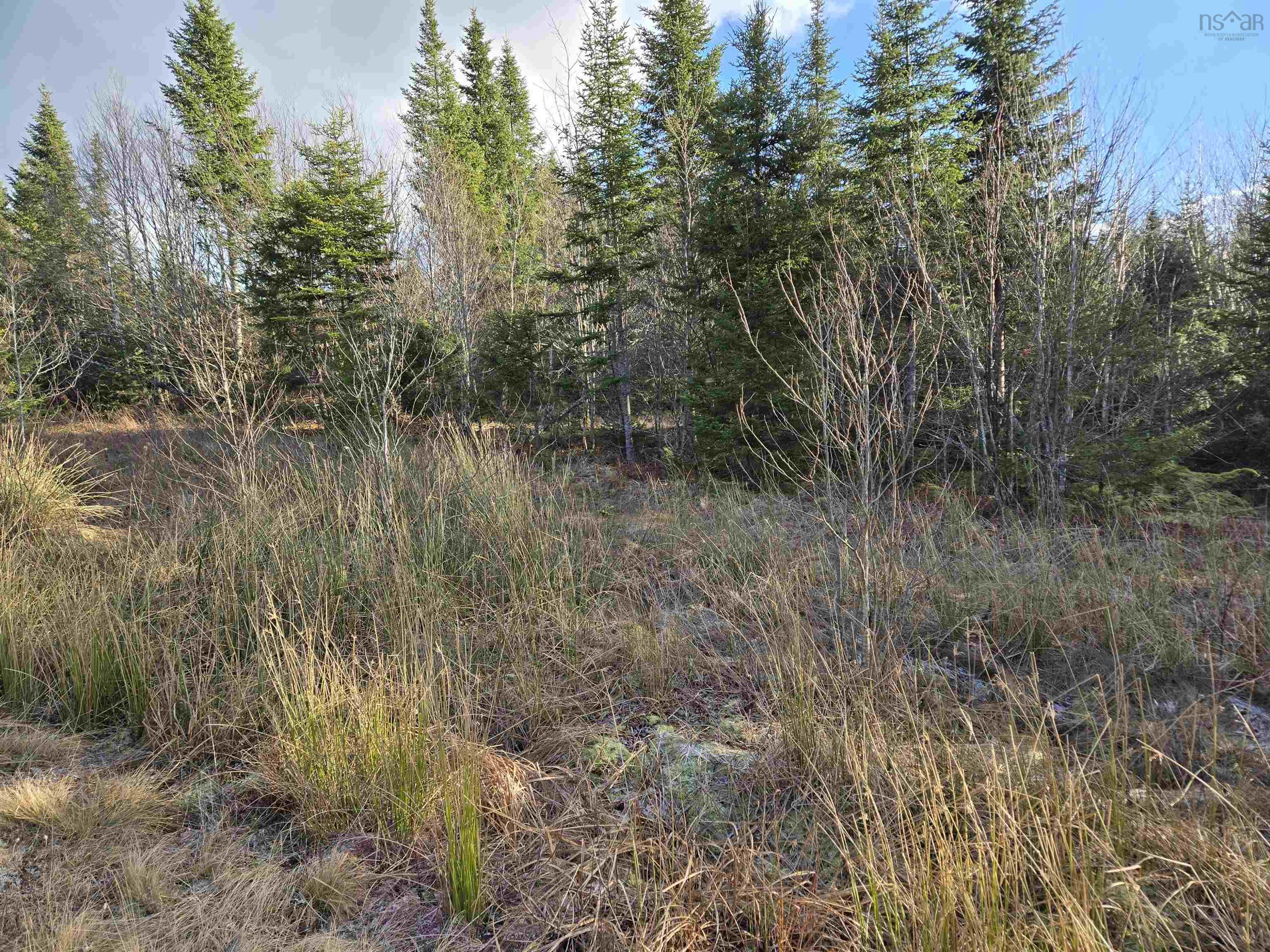 $62,500.00: Lot PEMBROKE Road, Riversdale