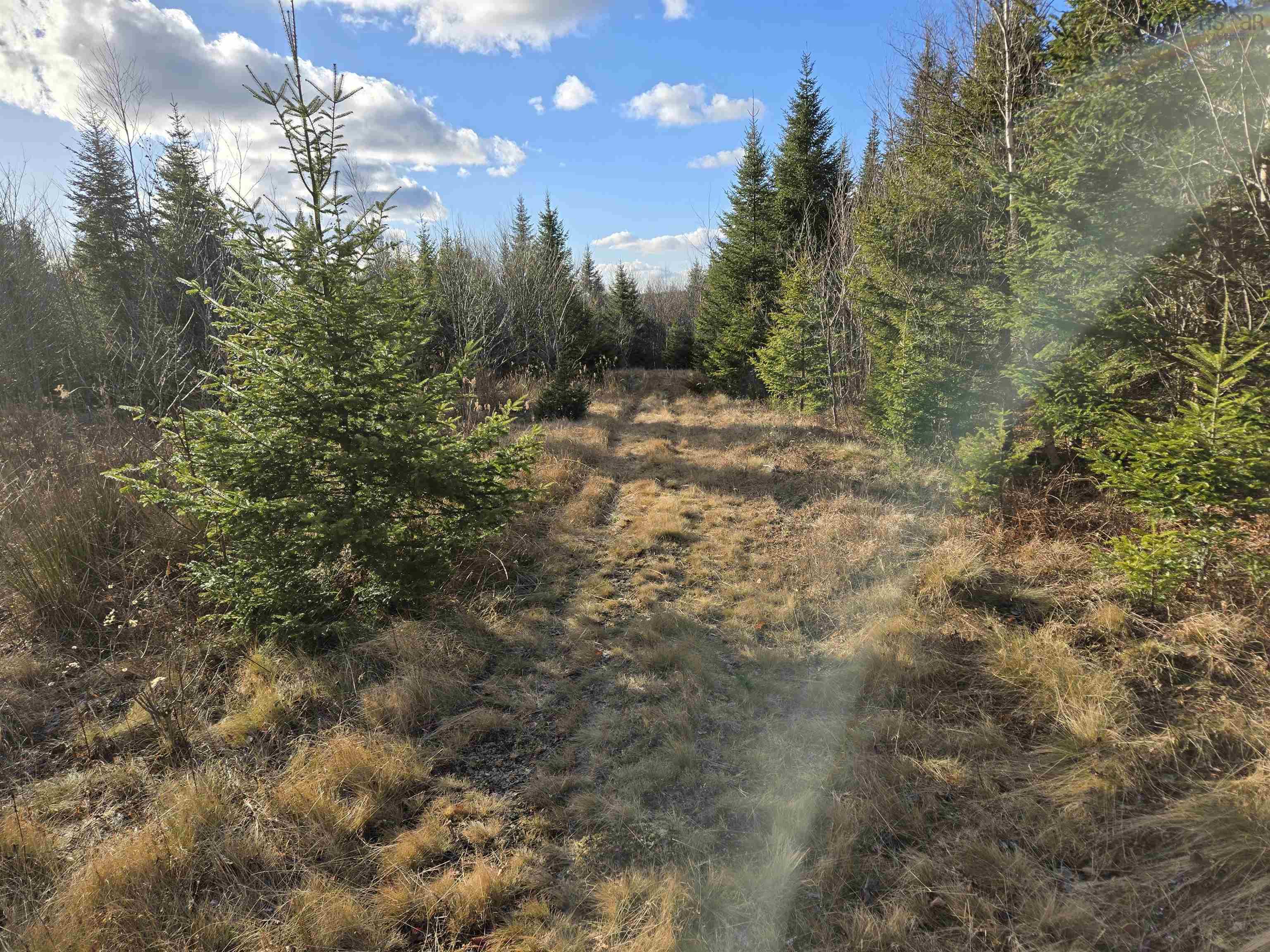 $62,500.00: Lot PEMBROKE Road, Riversdale