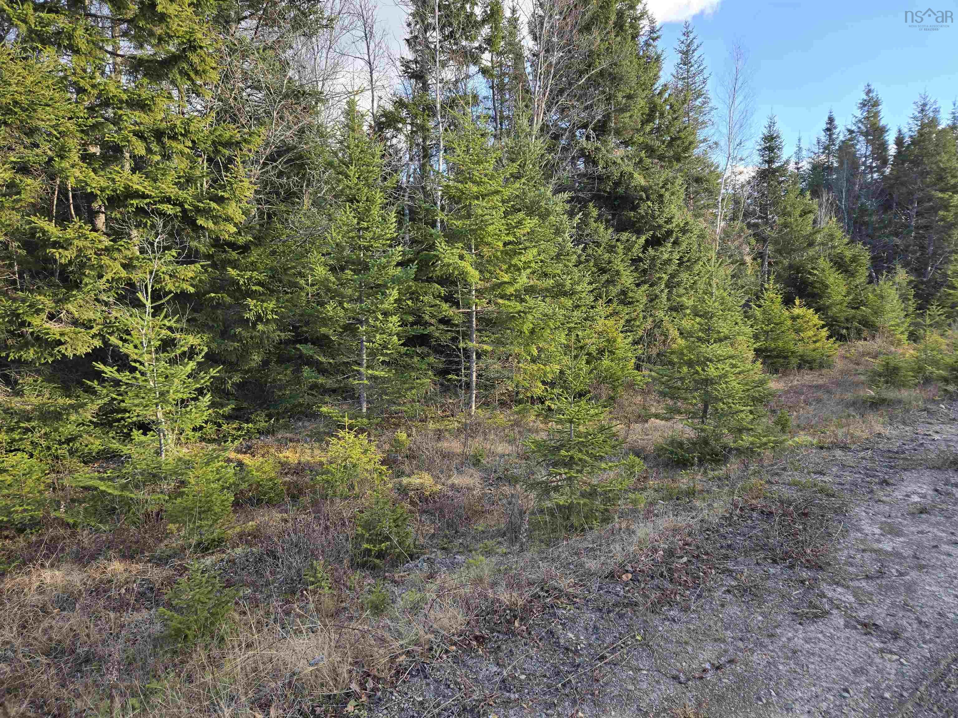 $62,500.00: Lot PEMBROKE Road, Riversdale