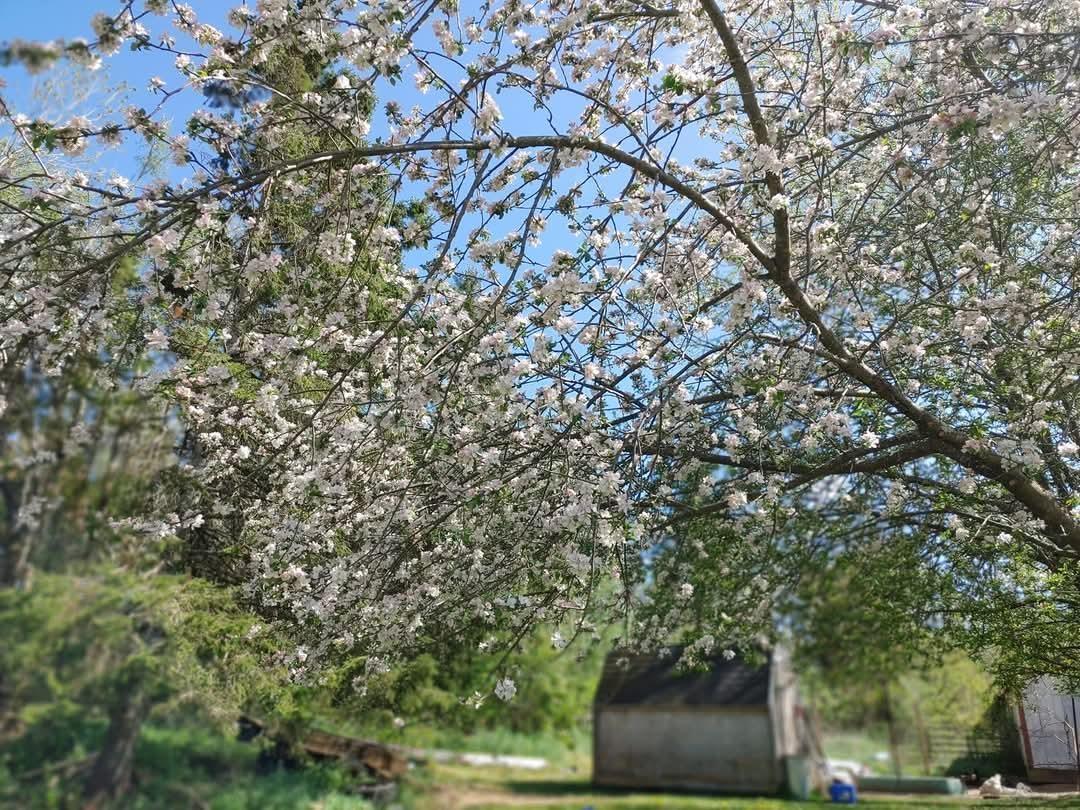 $324,900.00: 4751 Cloverdale Road, East Stewiacke