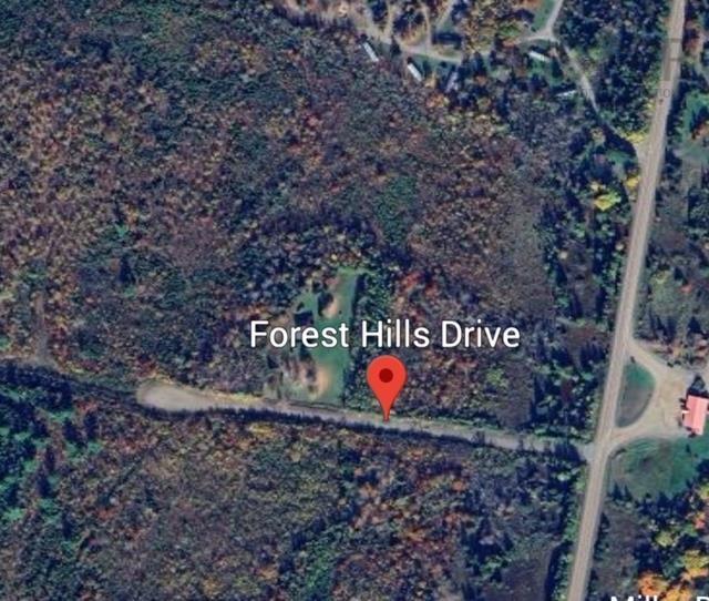 $45,000.00: Lot 3 Forest Hill Drive, Central West River