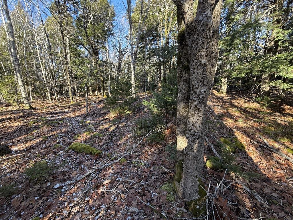 $25,000.00: Lot Conquerall Mills Road, Hebbville