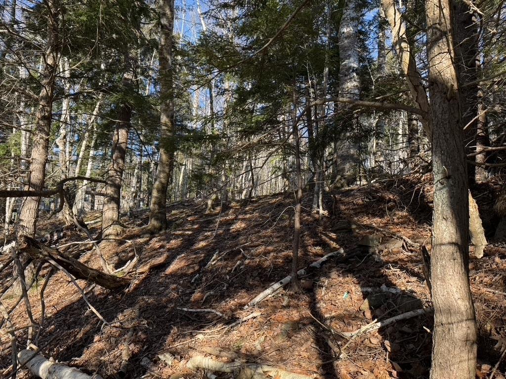 $25,000.00: Lot Conquerall Mills Road, Hebbville
