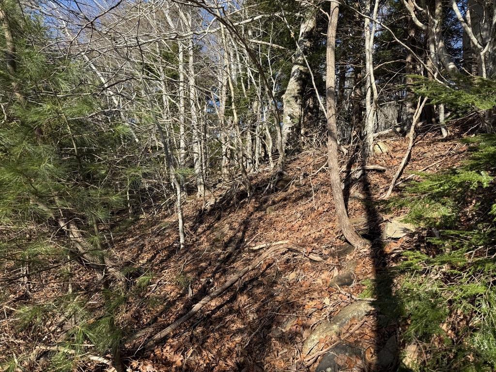 $25,000.00: Lot Conquerall Mills Road, Hebbville