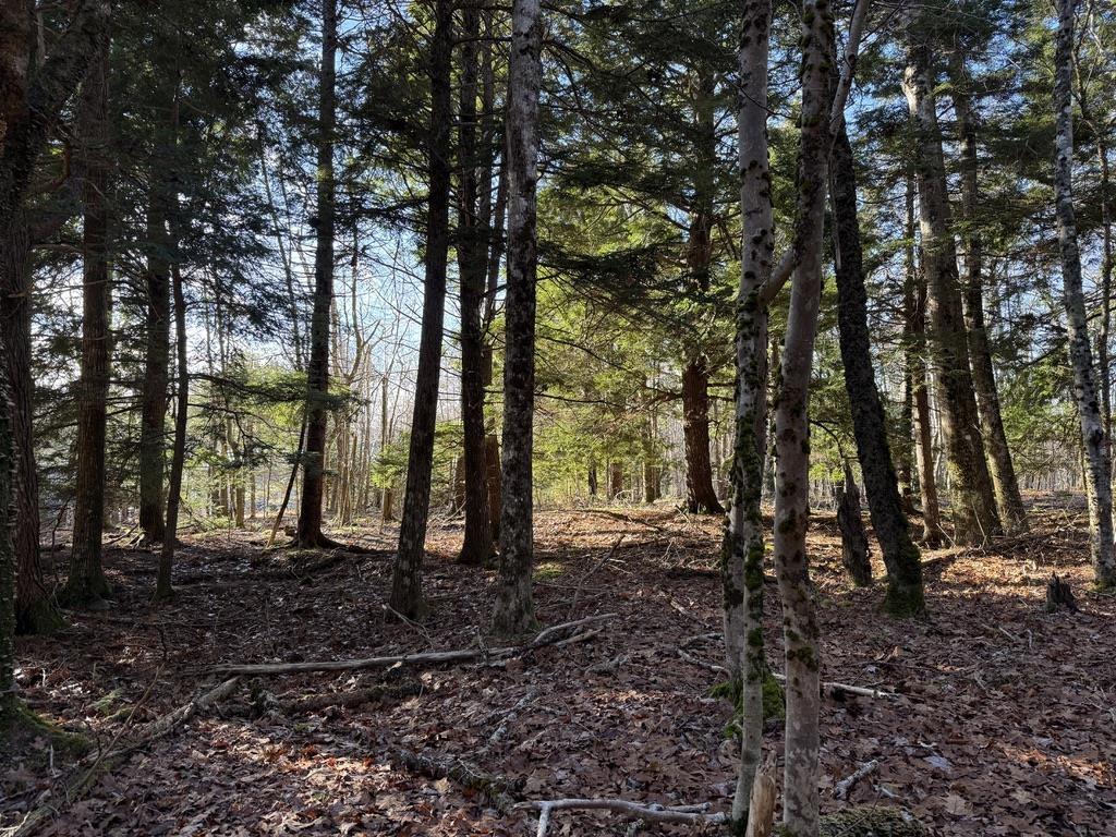 $25,000.00: Lot Conquerall Mills Road, Hebbville