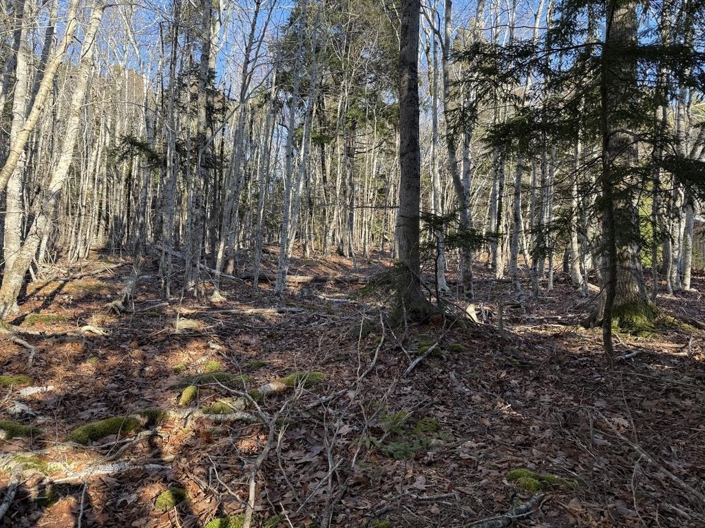 $25,000.00: Lot Conquerall Mills Road, Hebbville