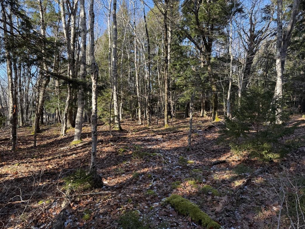 $25,000.00: Lot Conquerall Mills Road, Hebbville