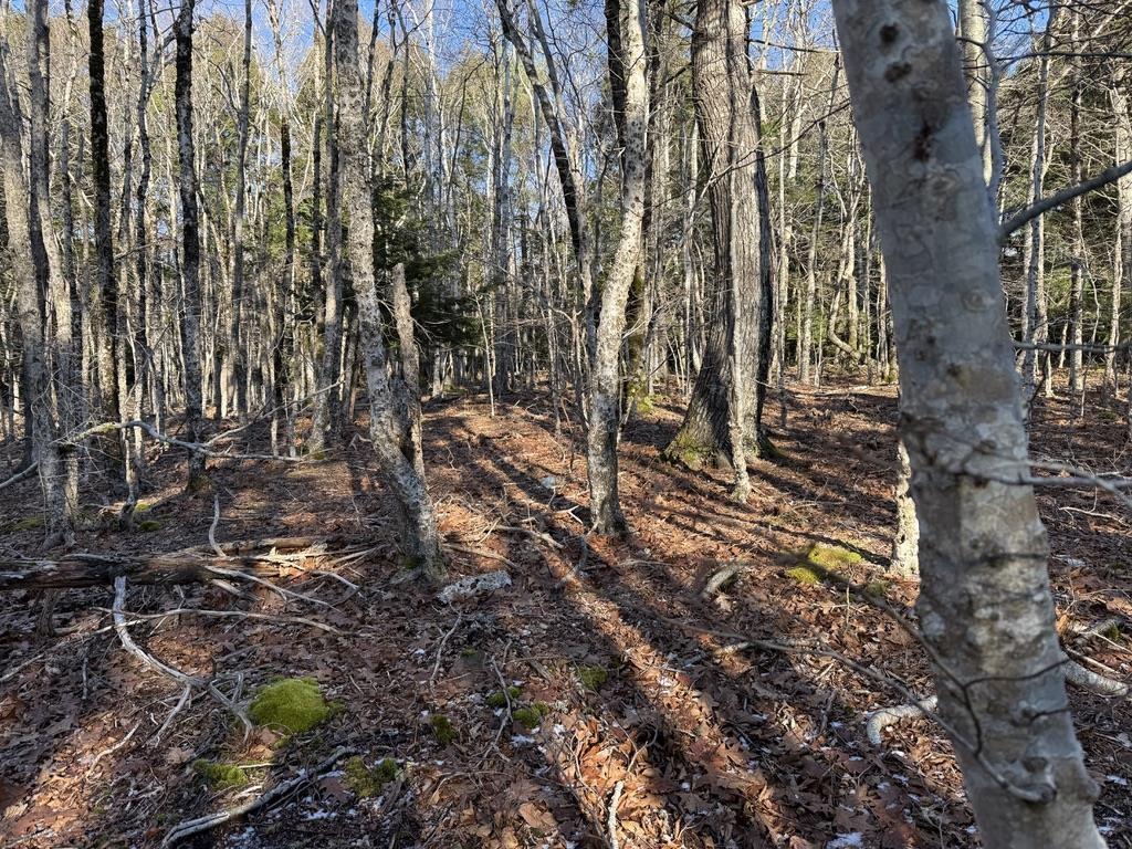 $25,000.00: Lot Conquerall Mills Road, Hebbville