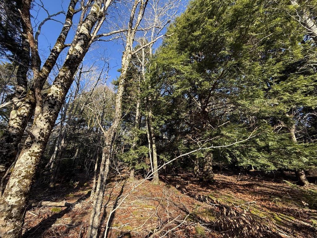 $25,000.00: Lot Conquerall Mills Road, Hebbville