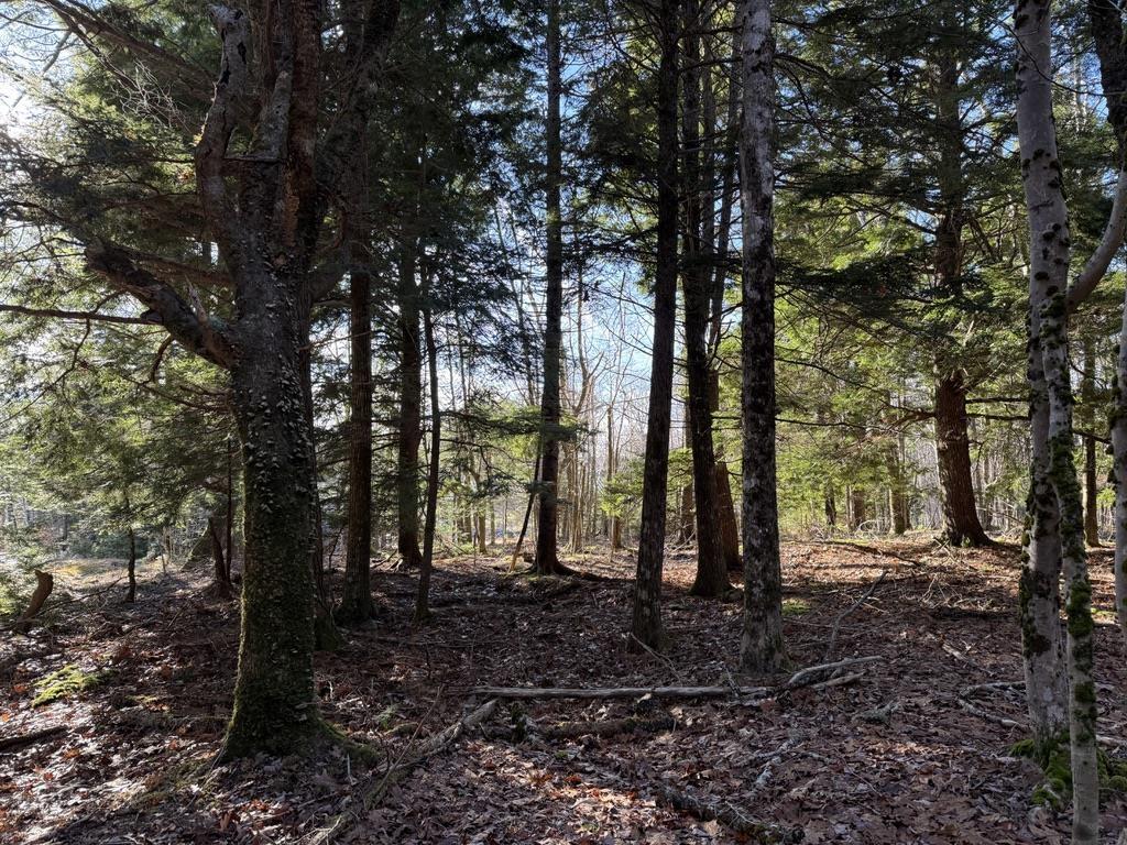 $25,000.00: Lot Conquerall Mills Road, Hebbville